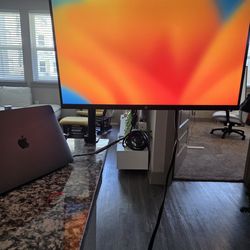 Home Office Montior And Mount Combo