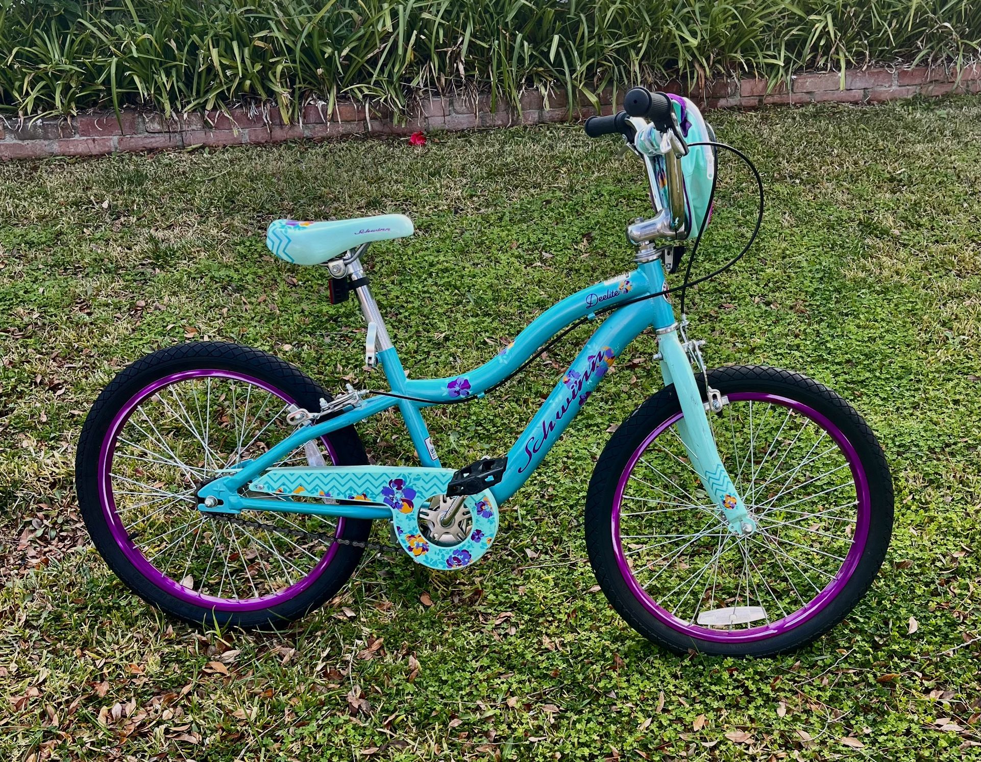 Blue Deelite Schwinn 20” Kids’ Bike