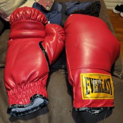 Everlast Boxing Gloves 16 Oz