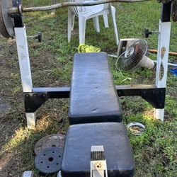 Weight bench/bar/weights & Dumb bells