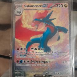 Salamence EX illustrator Rare