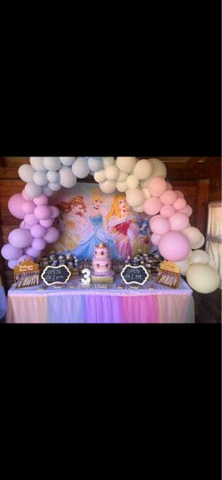 Disney Princess Backdrop / banner