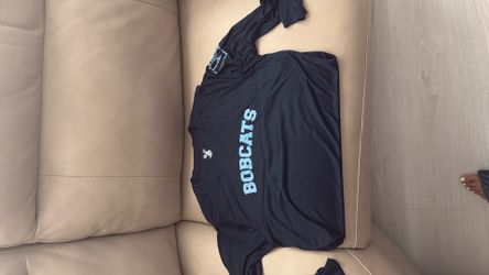 Our Lady Of Lourdes Academy Bobcat Dry Fit Ladies Vneck Long Sleeve Shirt