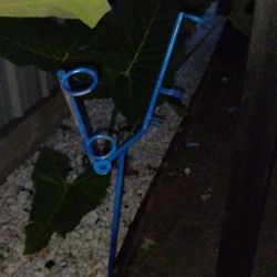 Just New Fishing Holder 