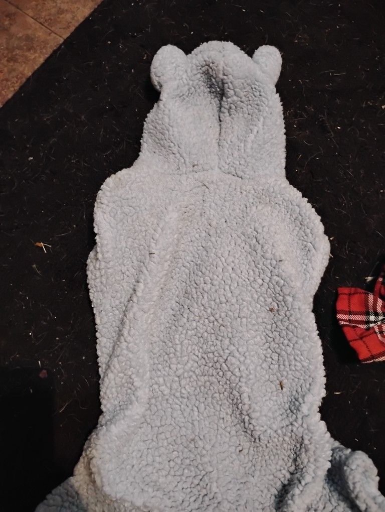 Fuzzy Blue Teddy bear Dog Outfit