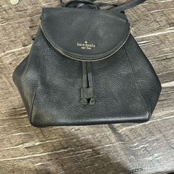 Kate Spade Backpack/purse