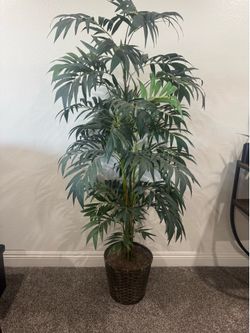 Palm Tree Artifical