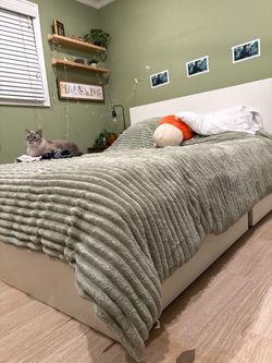 White Bed Frame