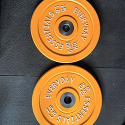 15lb Bumper Plate Pair