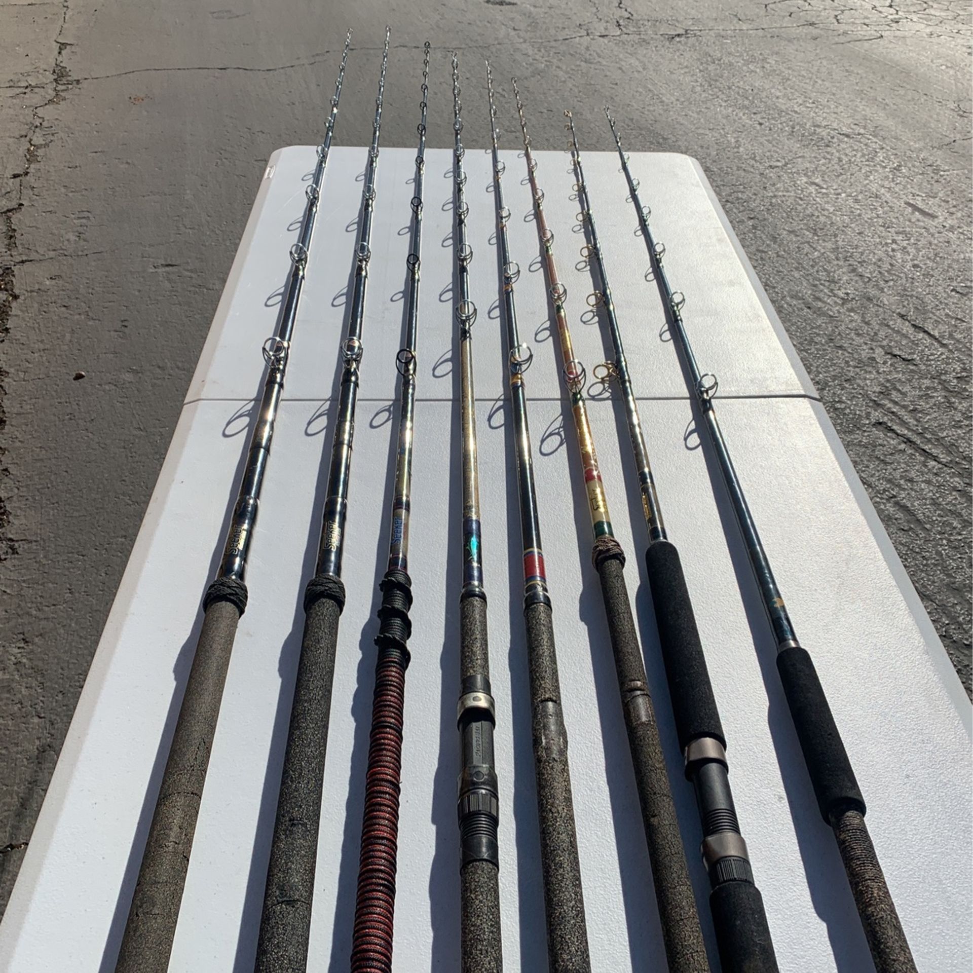 Seeker Fishing Rods