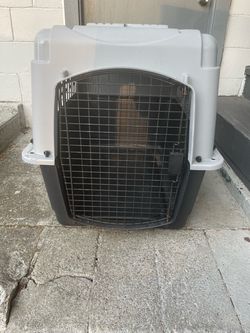 Large Hard-Sided Pet Travel Crate