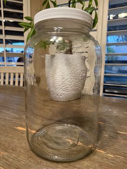 Glass Jars