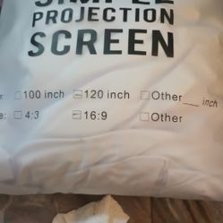 Projection Screen