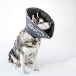 New Comfy Cone Pet Cone for Dogs, Large, Black - Comfortable Soft 

