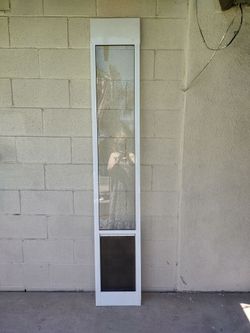 PetSafe doggie door 80x13