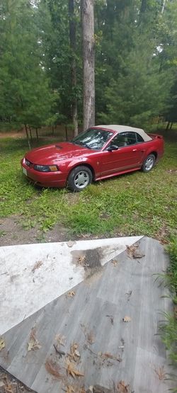 2001 Ford Mustang