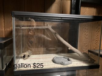Reptile Tanks
