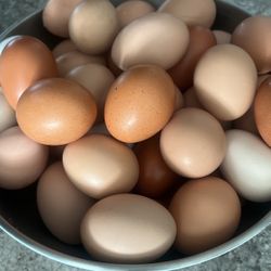 Fresh Eggs