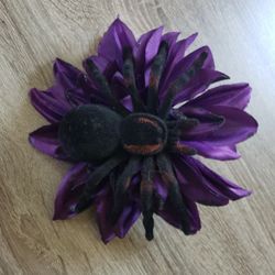 Halloween Spider Hair Accessories 