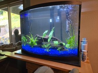 35 gallon fish tank with stand and canister filter
