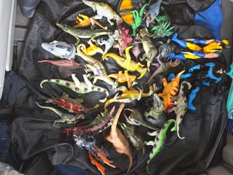 Whole lot Dinosaur collectibles