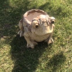 New Flower Pots Made Out Of Resin Perfect Gift For Any Occasion 