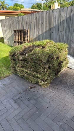 Leftover Sod.  1/2 pallet