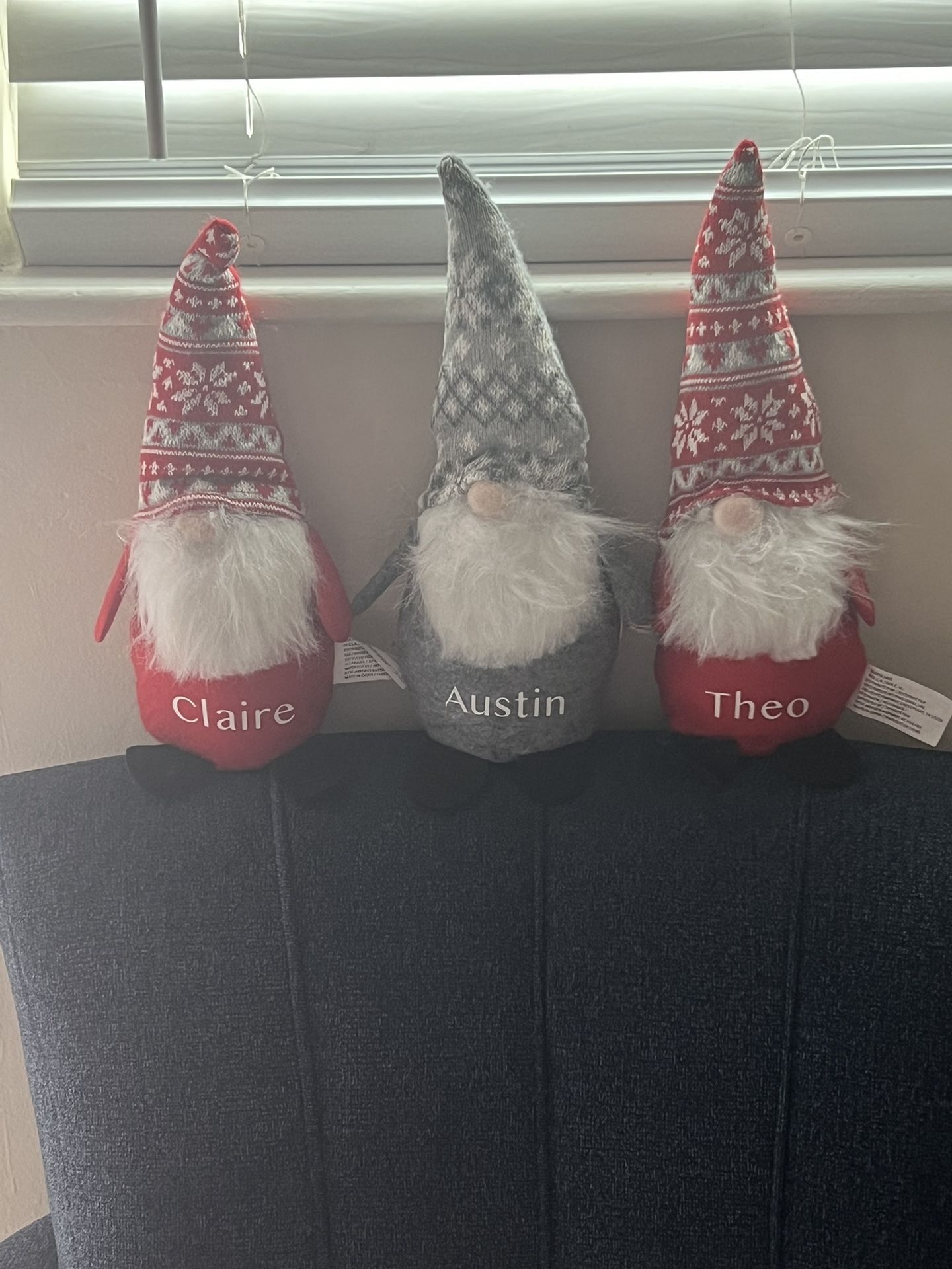 Personalized Gnomes