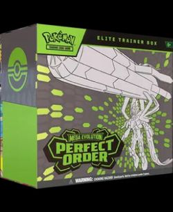 Perfect order ETB case of 10