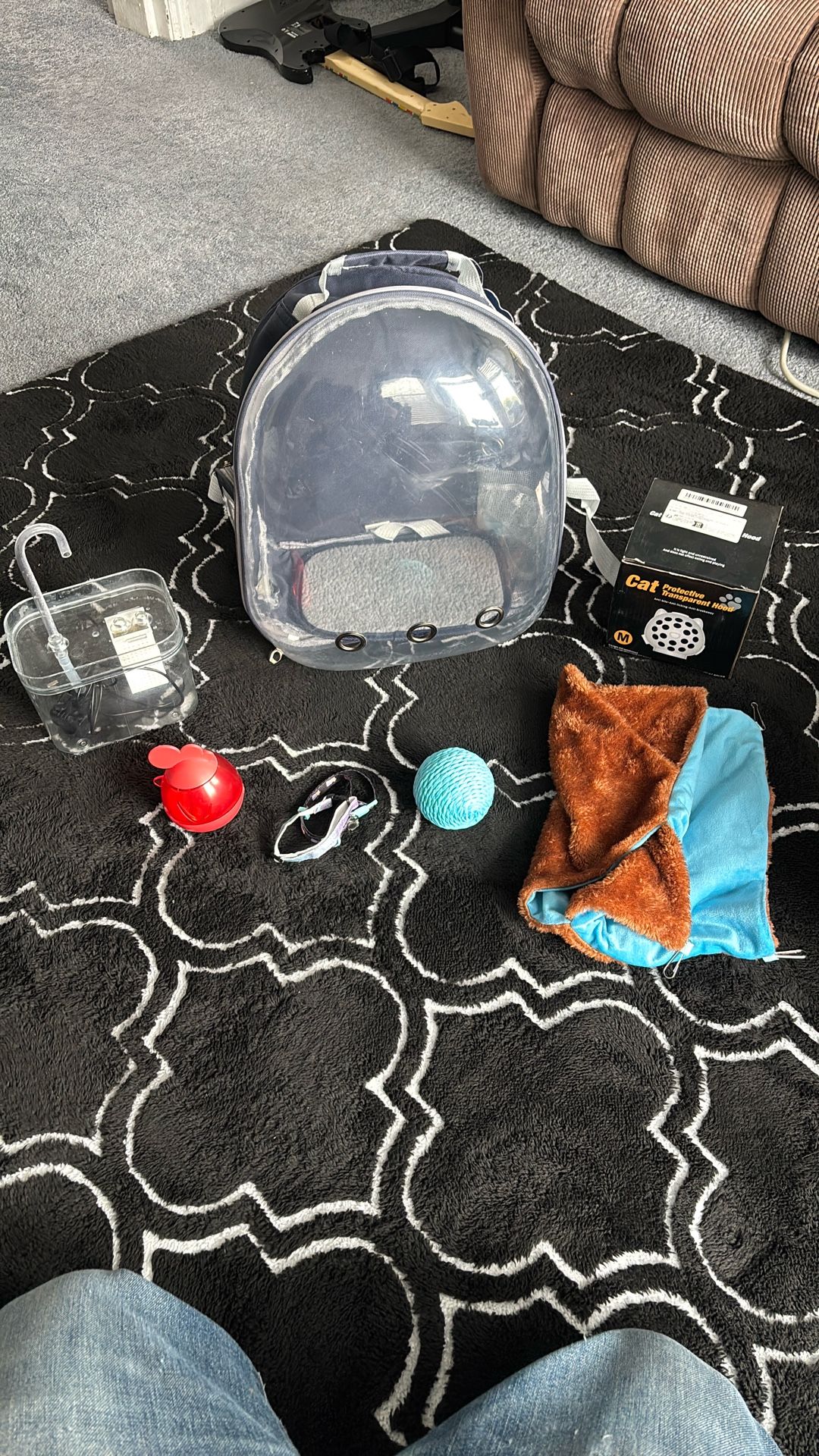 Cat Accessories