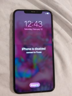 Iphone 11 pro max (disabled)