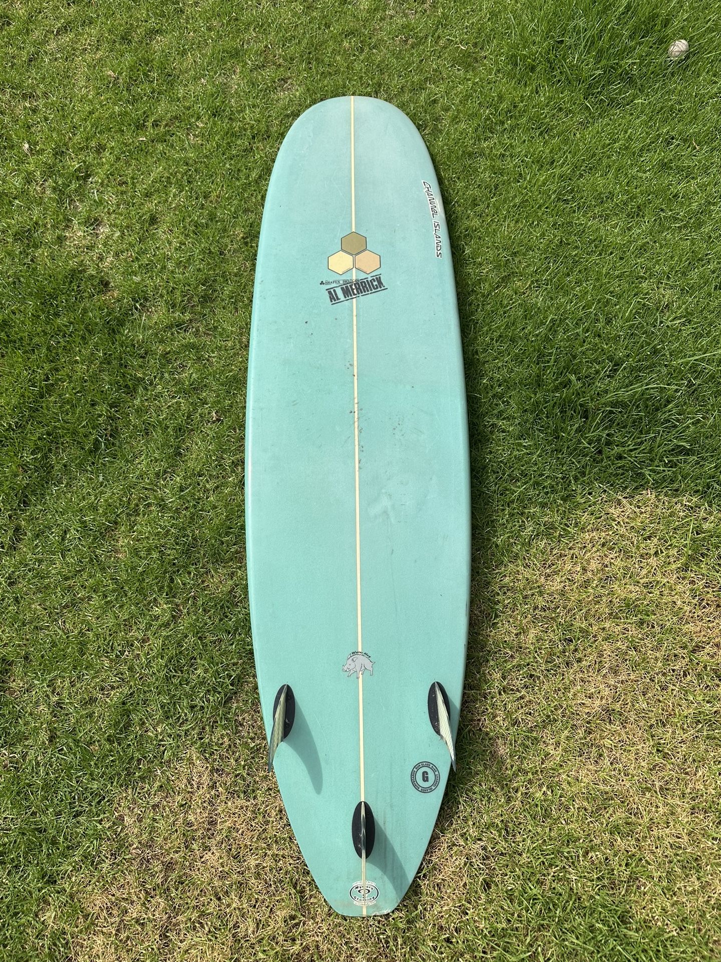 Al merrick Water Hog Surfboard