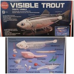 Visible Trout 
