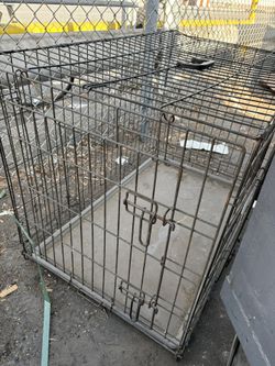 Dog Crate 