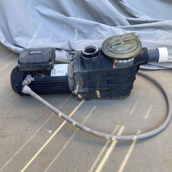 Swimming Pool Pump Motor and Housing