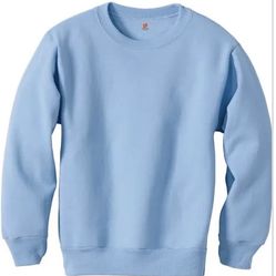 C-120)     Large  Hanes Woman's Sweatshirt,  Lt blue  $6.00