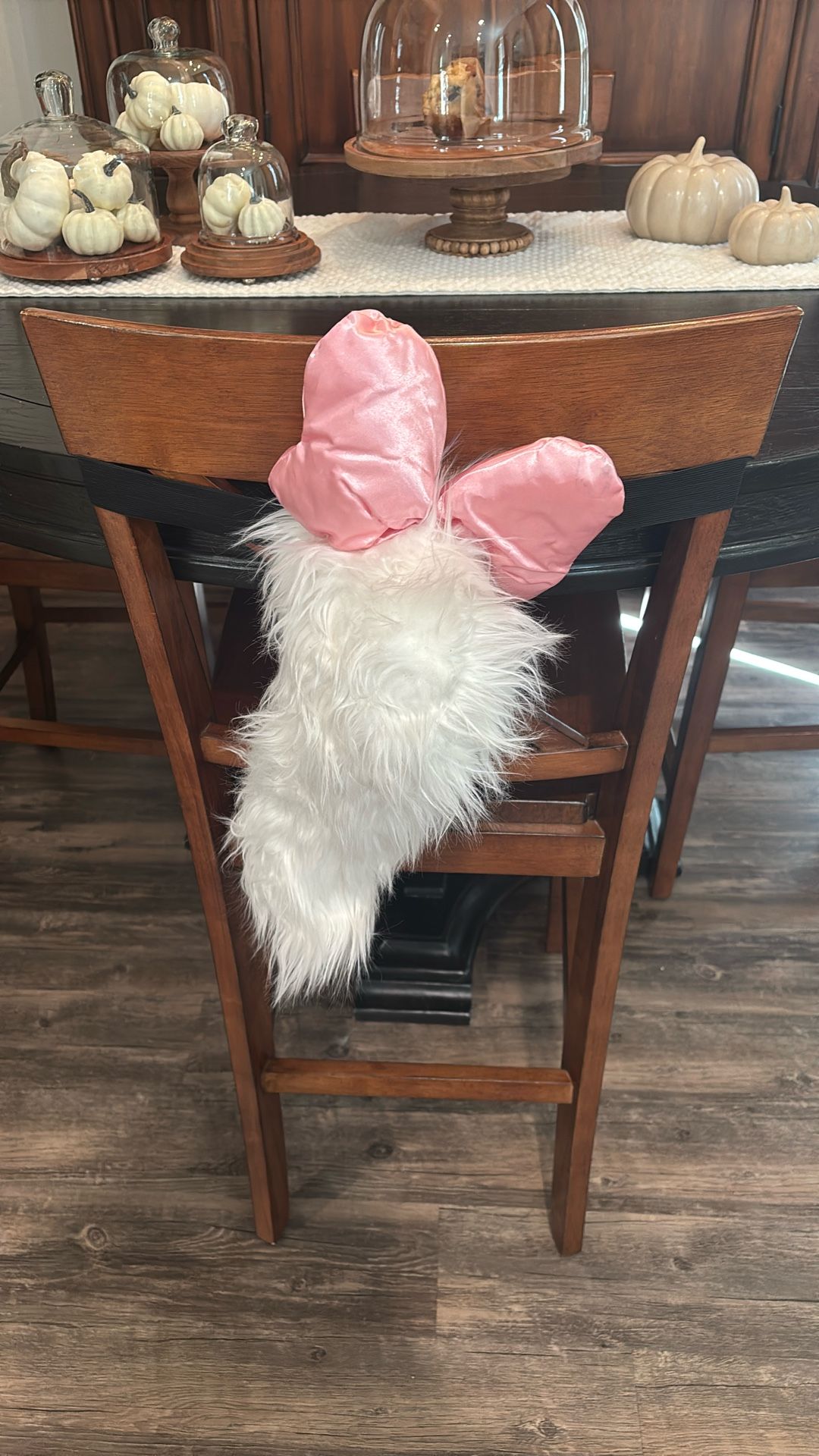 Daisy Duck Disneyland Costume