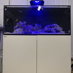 Red sea 350 fish tank + stand+sump READ