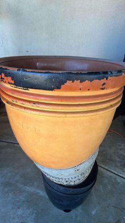 Large plastic flower pot