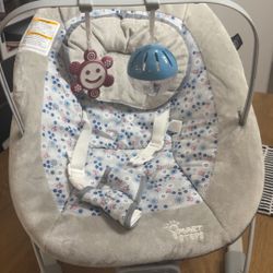 Baby Bouncer 