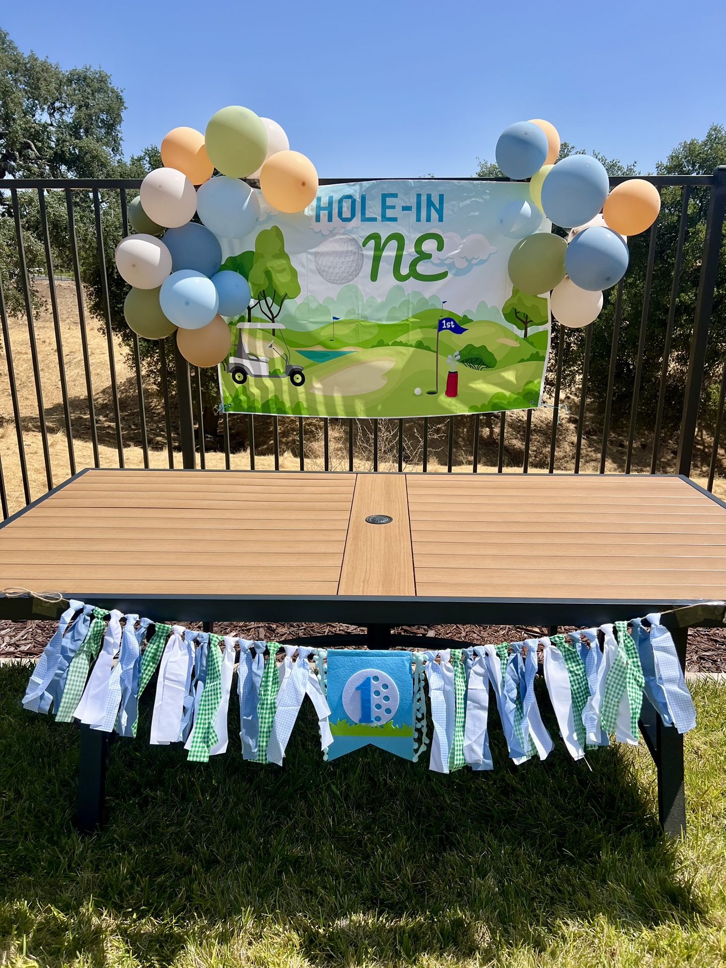 Golf Birthday Party Decor - Hole In One Theme
