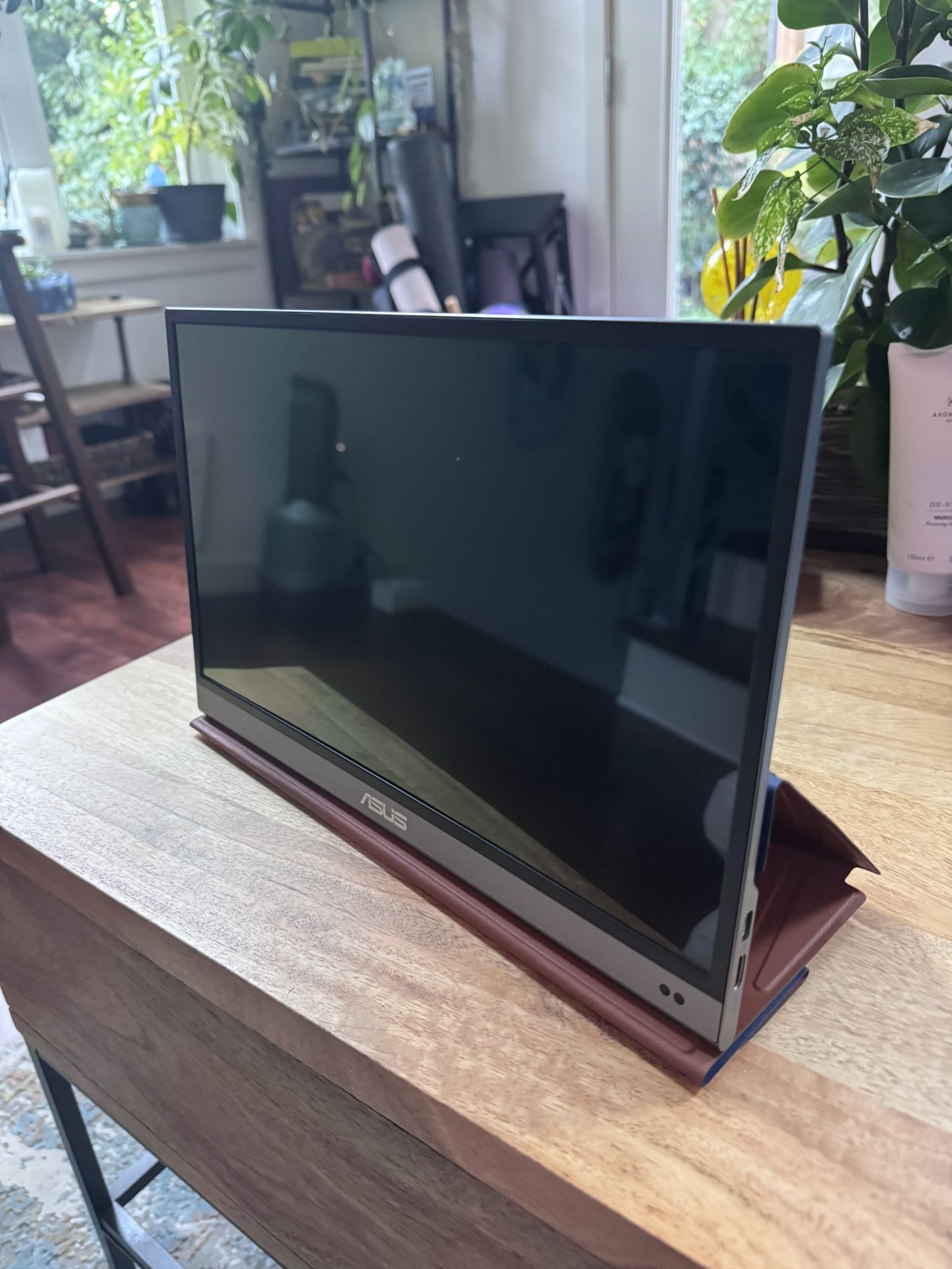 ASUS ZenScreen 13.3” Portable USB Monitor