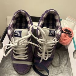 Nike Sb Dunks X Concept Purple Dunks Size 7