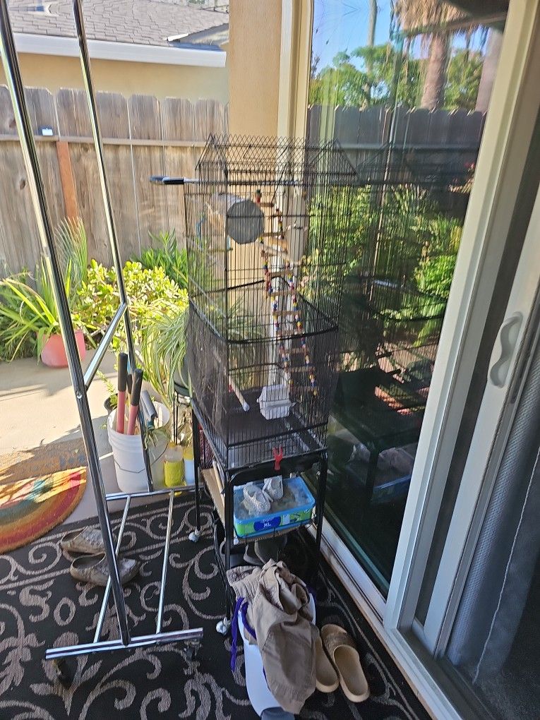 Bird Enclosure