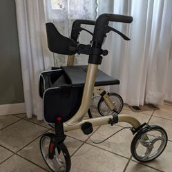 Large Wheel Large Seat Walker