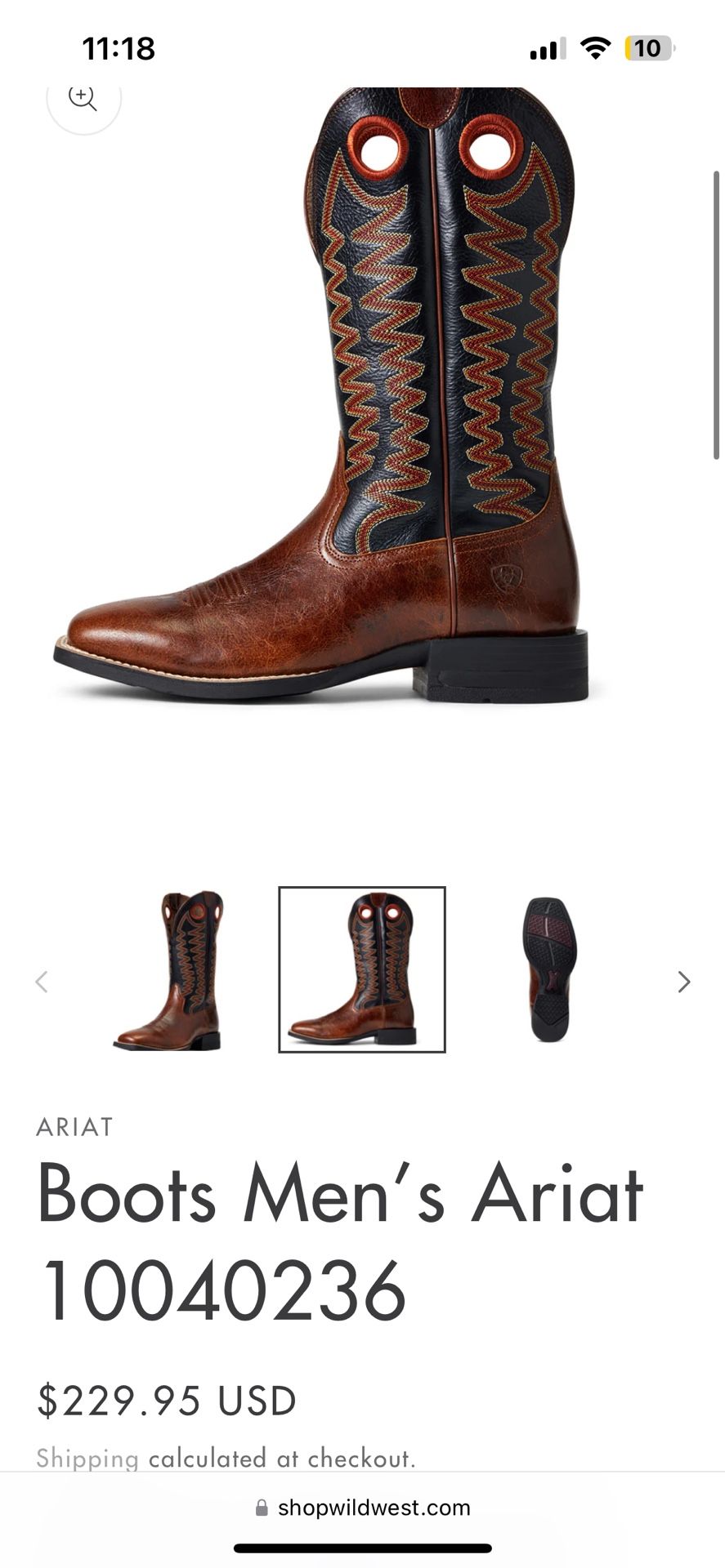 Ariat Boots