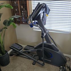 Elliptical (Horizon) $350