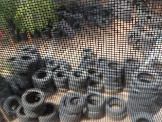 Any size of tire $30