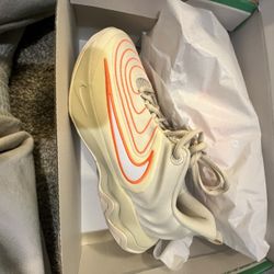 Hum For The Sizes In Their Brand New