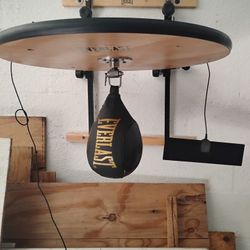 Mma Everlast Speed Ball And 2 MMA Punching Balls
